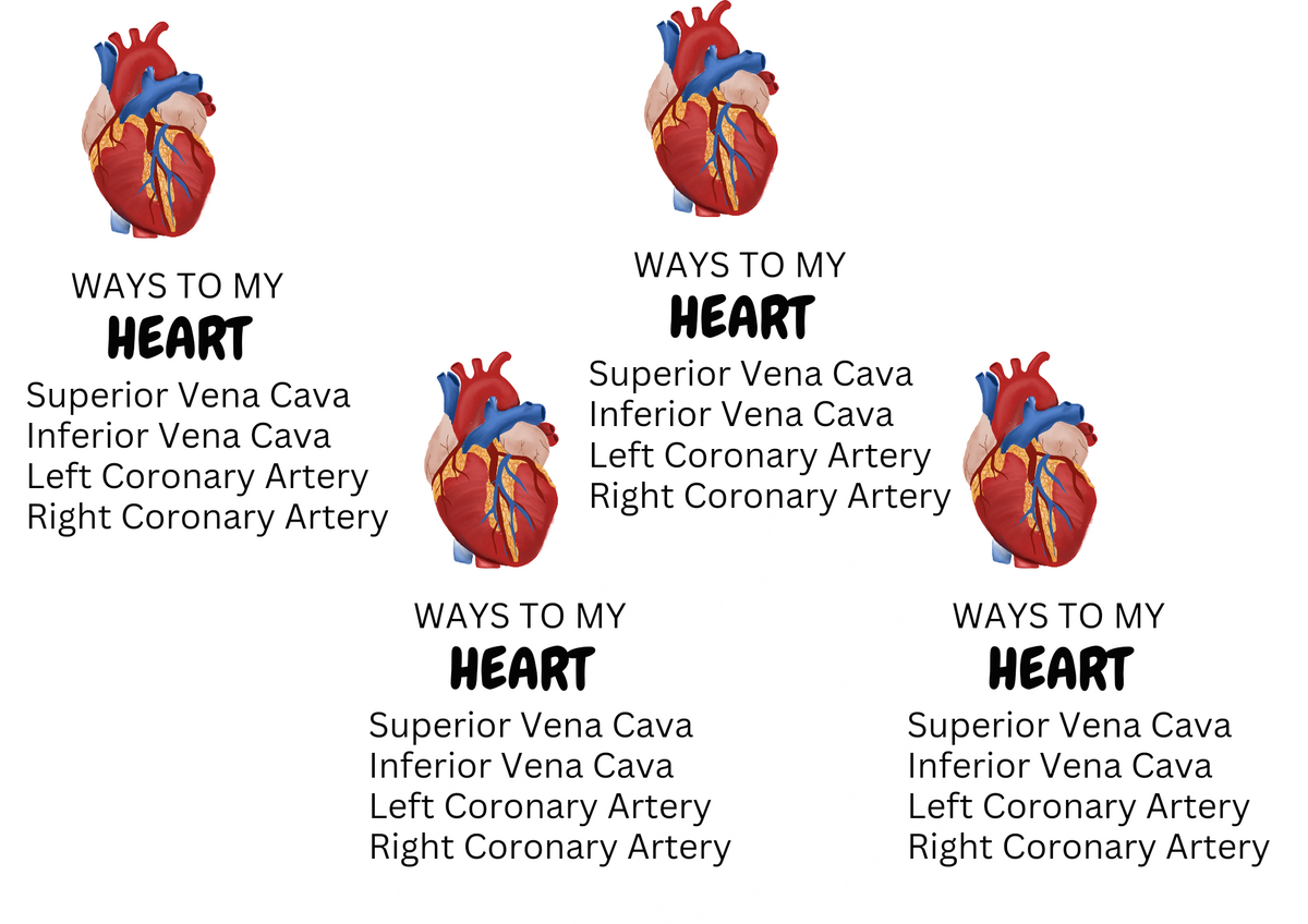 CARDIOLOGY